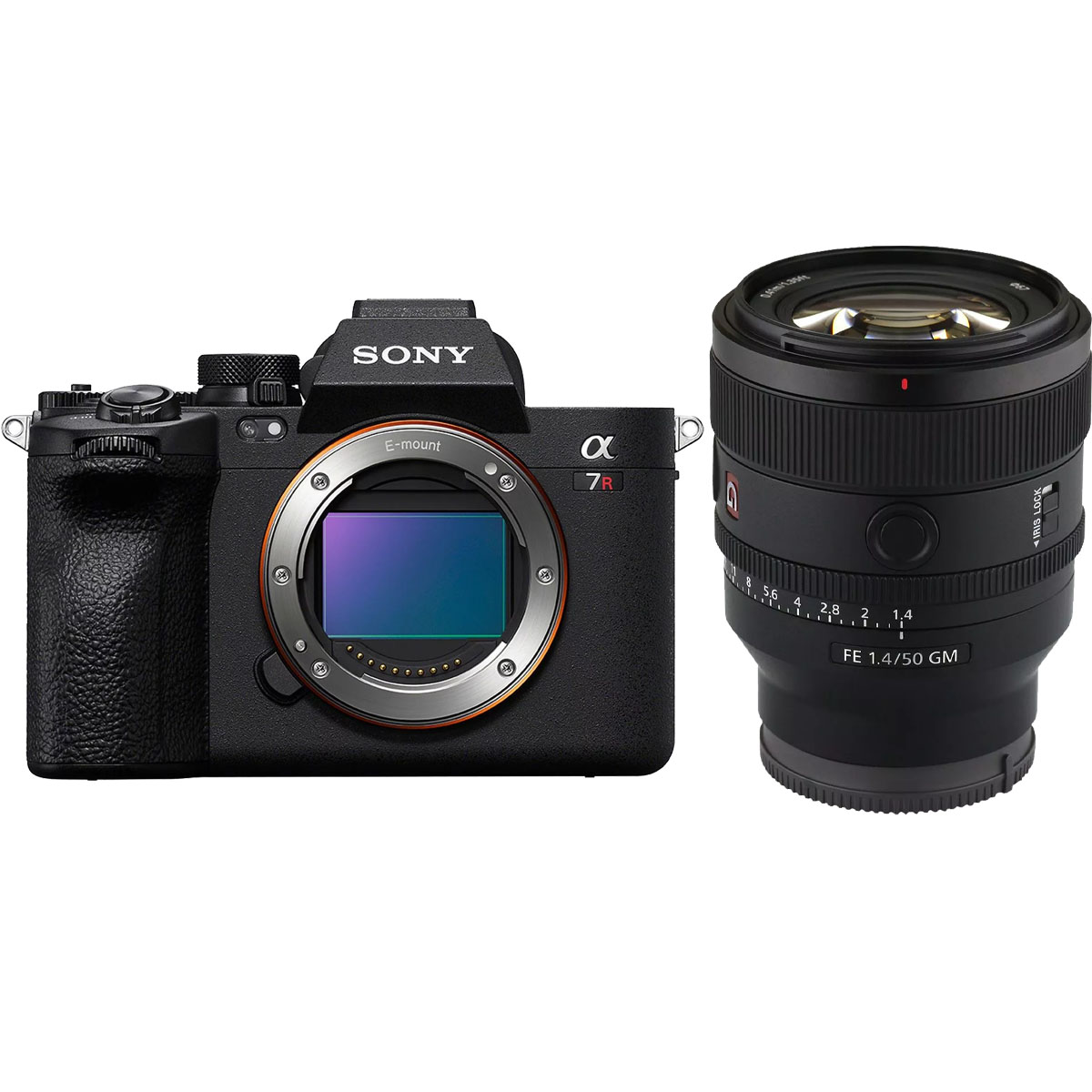 Sony Alpha 7R V + Sony 50 mm 1:1,4 SEL GM