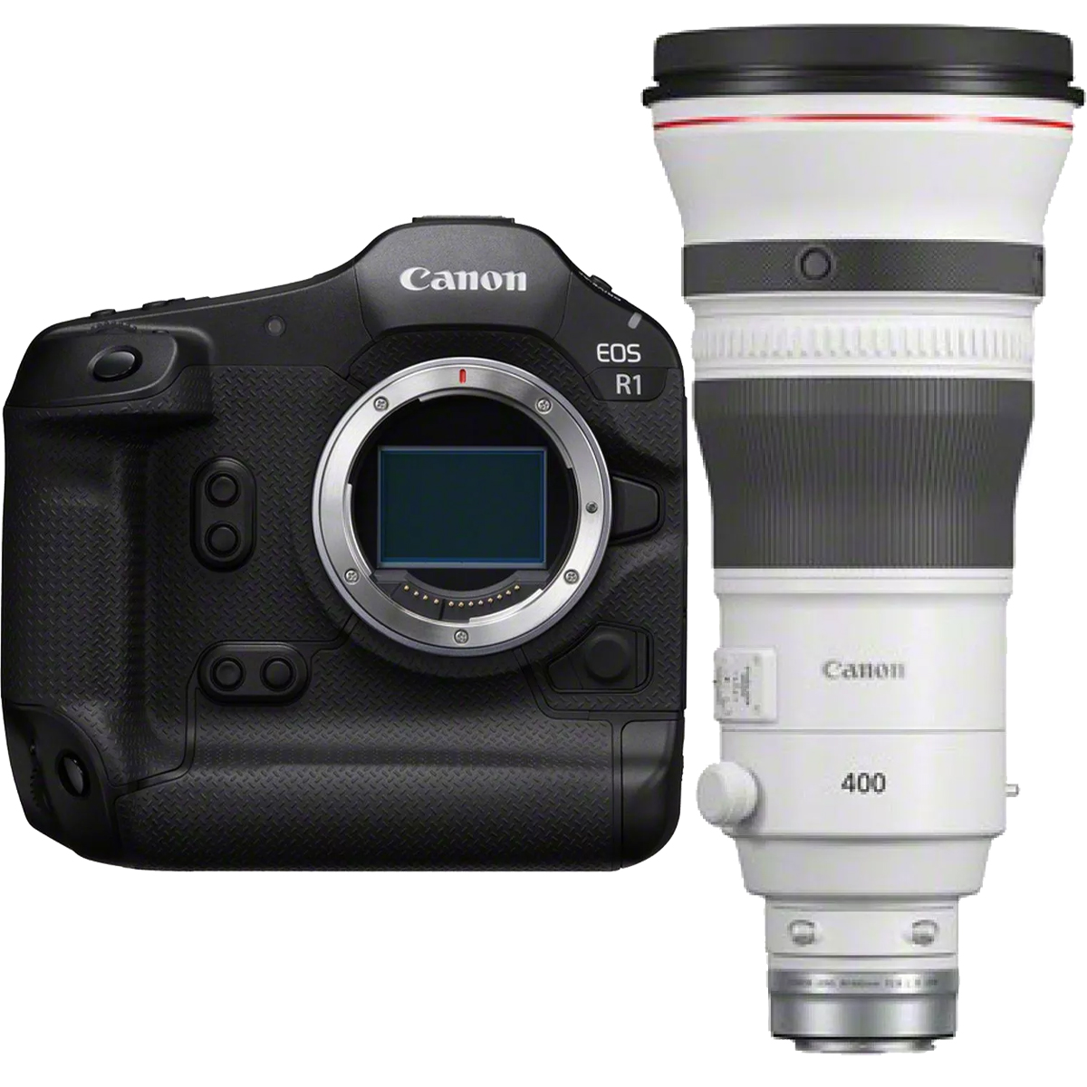 Canon EOS R1 + Canon RF 400 mm 1:2,8 L IS USM Canon EOS R1 + Canon RF 400 mm 1:2,8 L IS USM