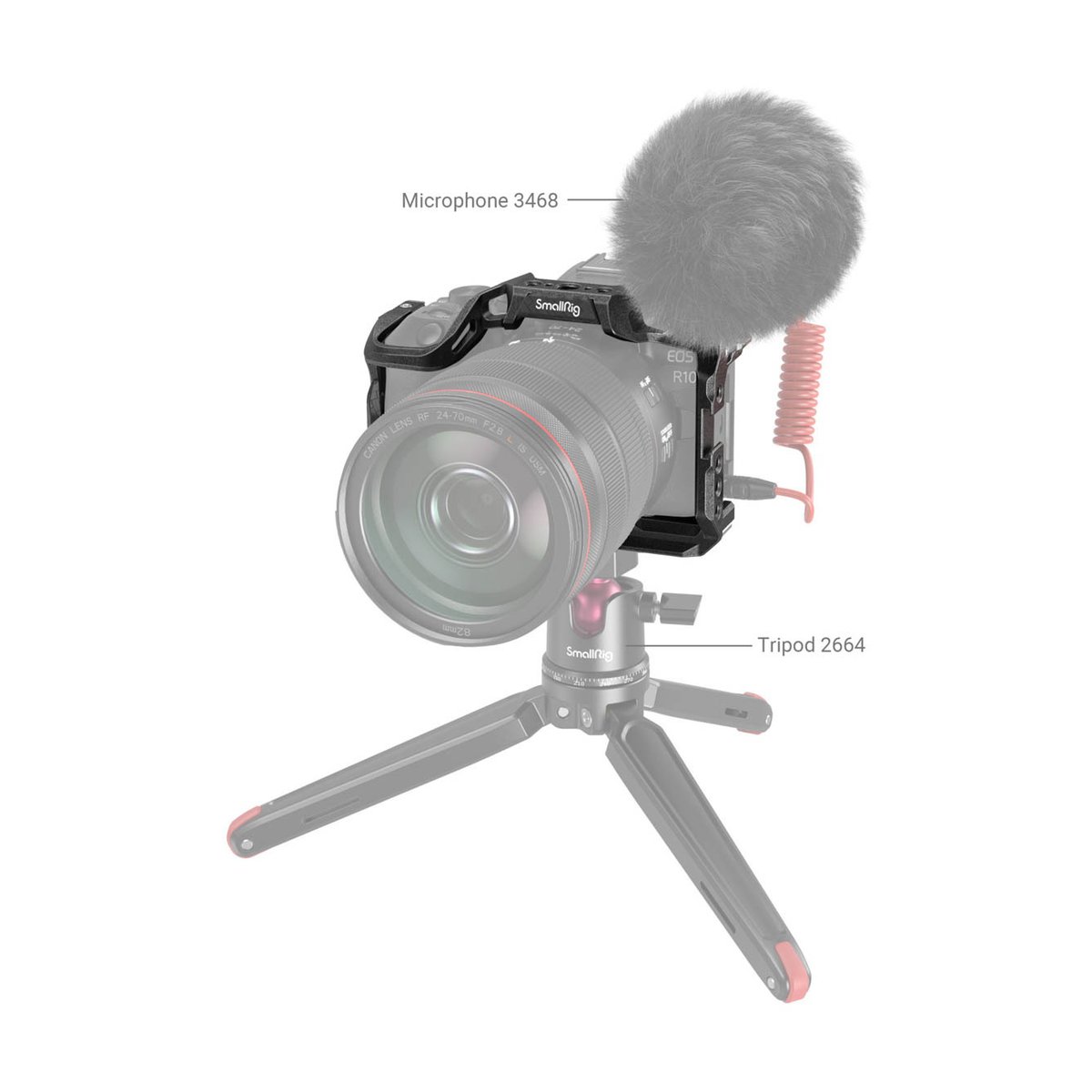 SmallRig 4004 Black Mamba Cage für Canon EOS R10 - Anwendungsbeispiel: Kamera-Rig mit SmallRig Mikrofon 3468, Stativ 2664 und Käfig.