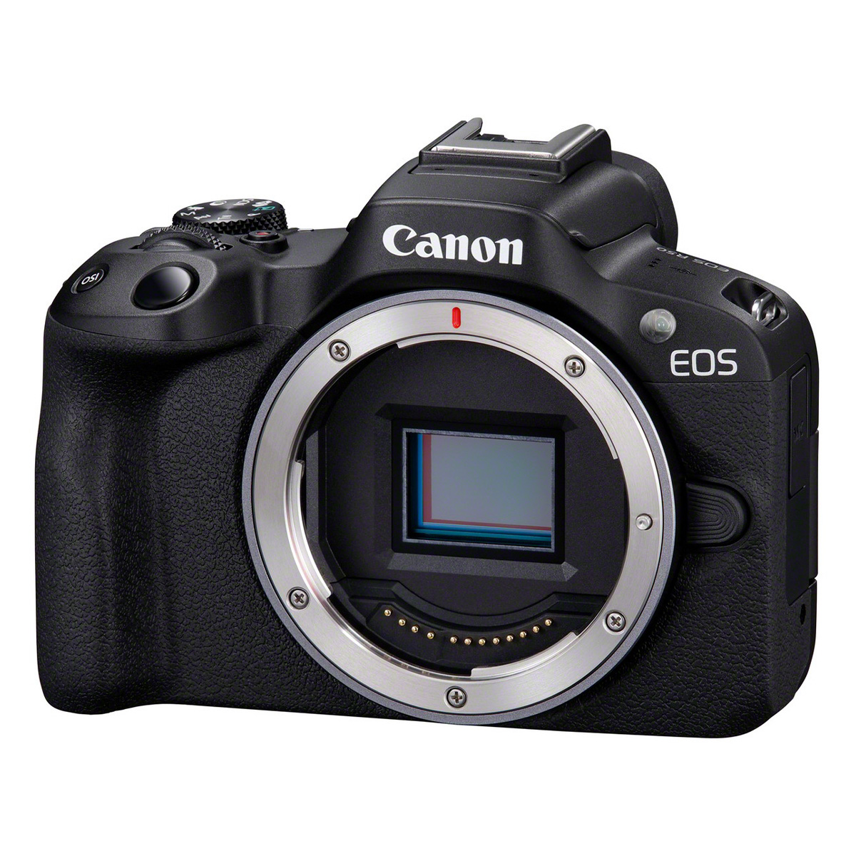 Canon EOS R50