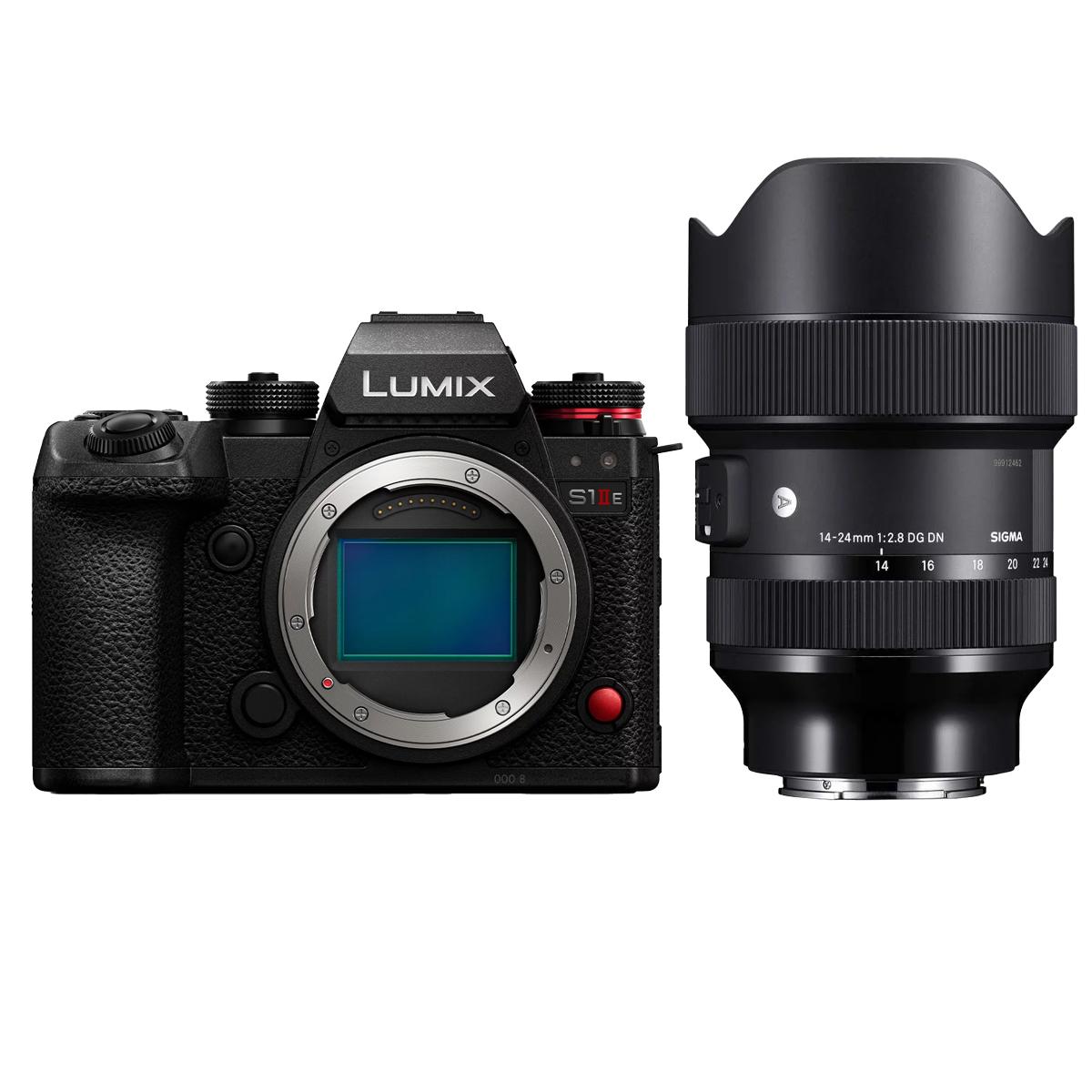 Panasonic DC-S1 IIE + Sigma 14-24 mm 1:2,8 DG DN (A)