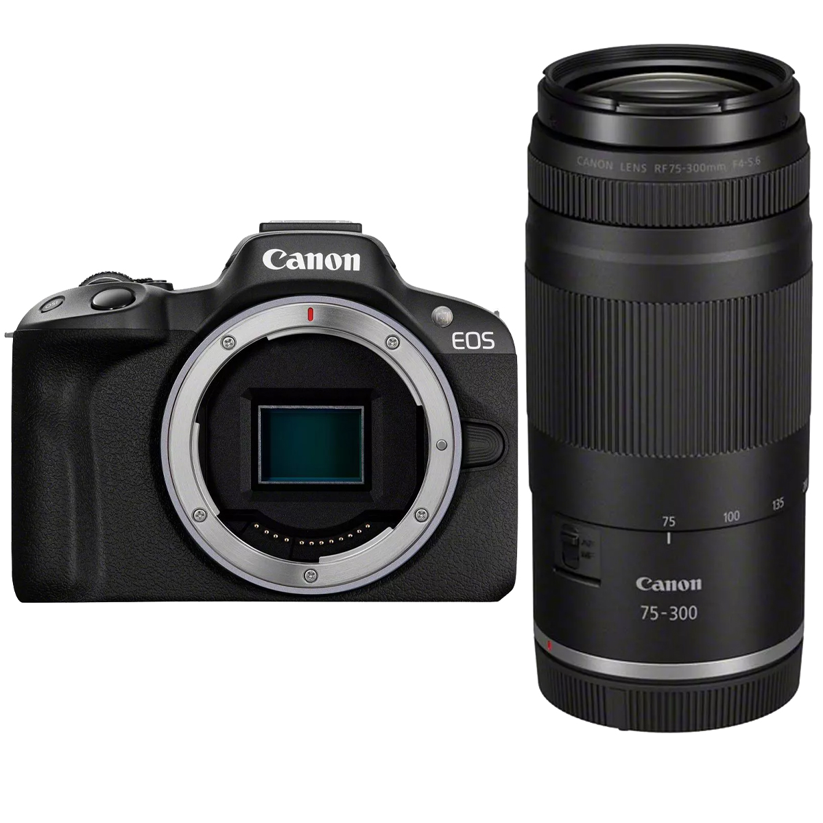 Canon EOS R50 + Canon 75-300 mm 1:4,0-5,6 RF Schwarz