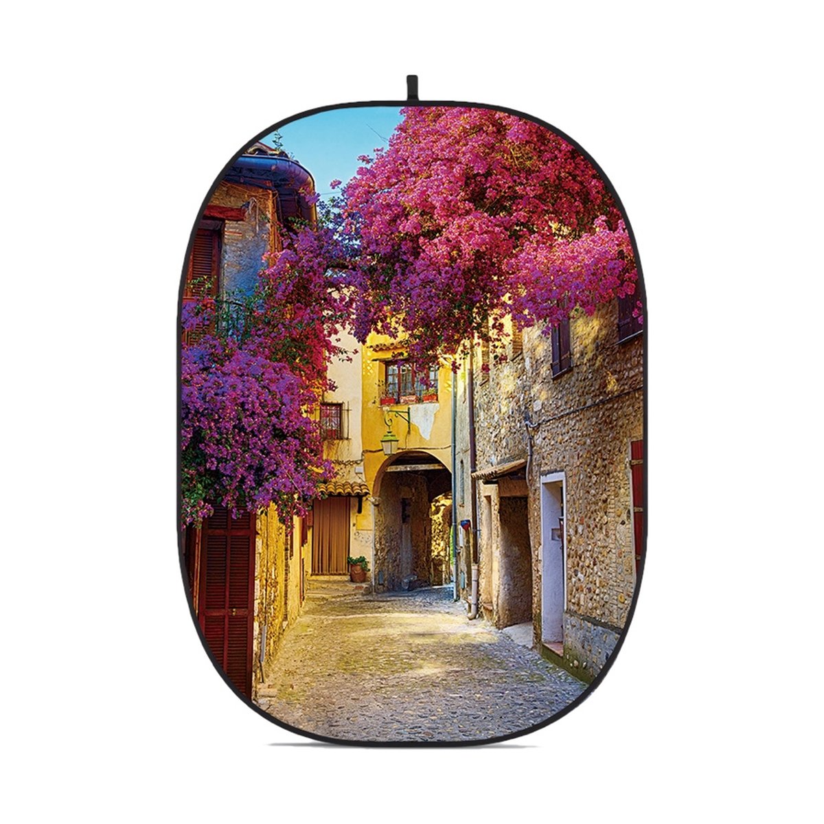 Godox Collapsible Backdrop CBA-CS0001